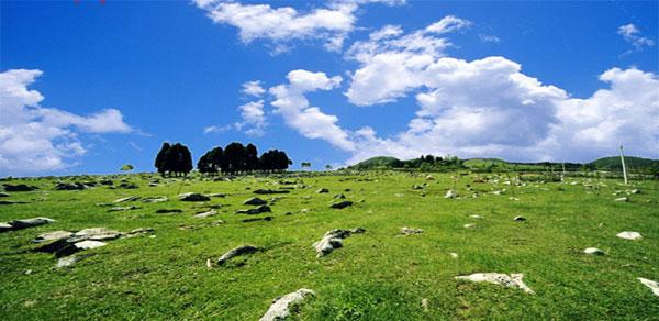 石柱黄水千野草场