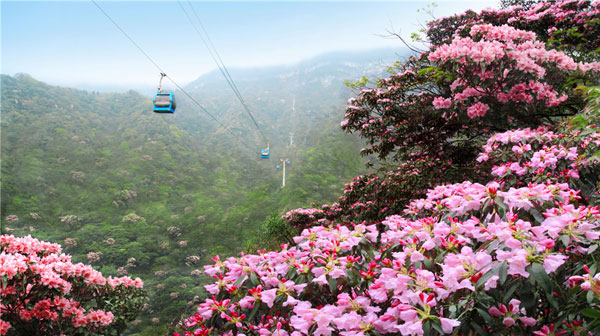 5.19中国旅游日 金佛山四天免门票