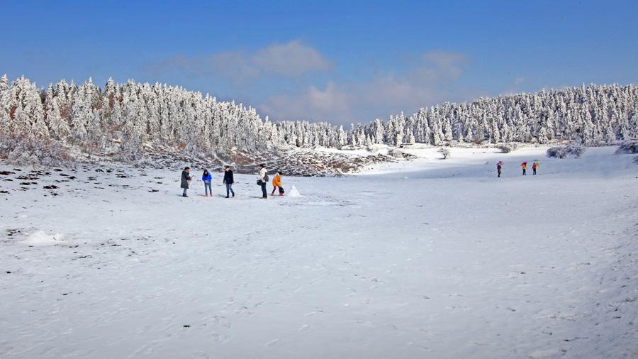 仙女山雪景美图集冬季重庆自由行必选地